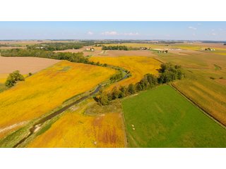 Property photo 9 - PRIME LAND AUCTION - 244+/- ACRES OFFERED IN 4 TRACTS IN UNION CO., IN & PREBLE CO., OH